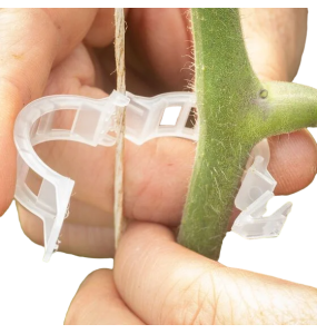 Cleme palisare 100 buc