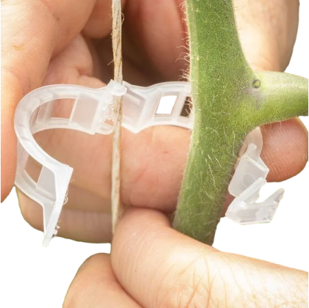Cleme palisare 100 buc